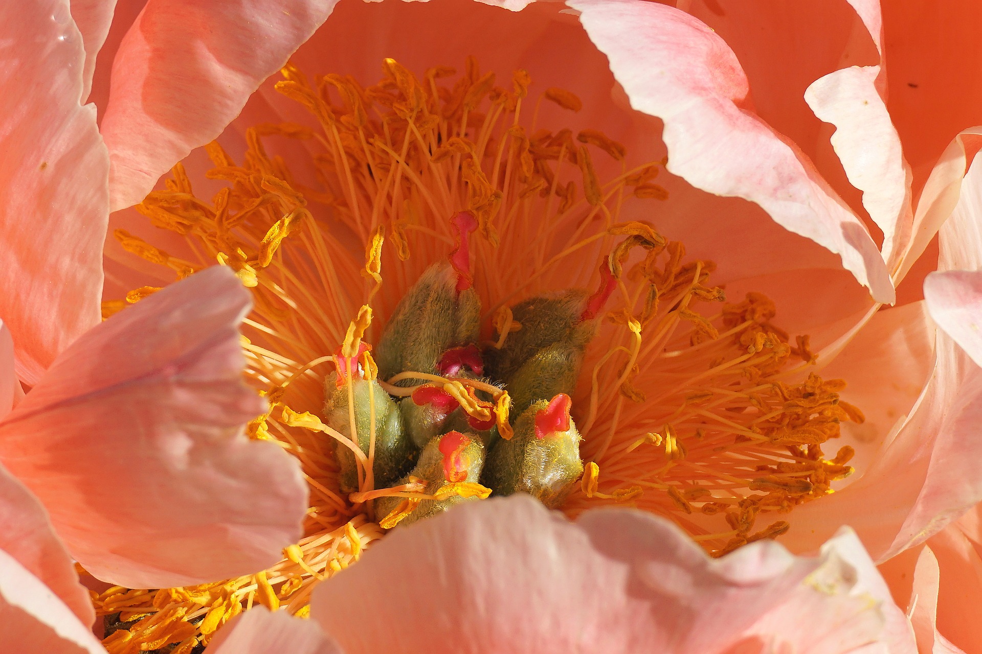 Shooting créatif - Vue 3